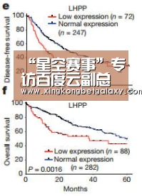 “星空赛事”专访百度云副总经理谢广军:打磨稳定高效IT基础设施,重在场景化落地(图1) 星空赛事